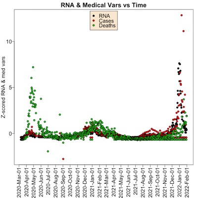 Time course of RNA levels, cases, and deaths