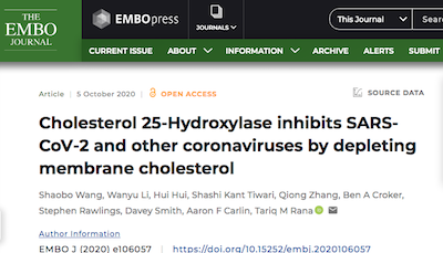 Wang: 25HC and COVID