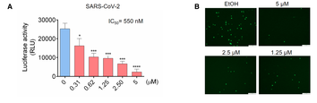 Wang: CH25H dose dependence