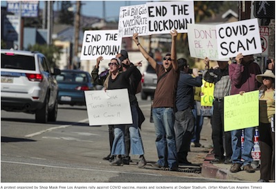 LA Times: dumb crap the vaccine protestors said