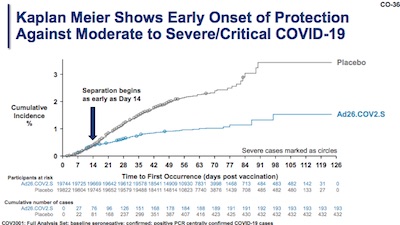 Janssen: Kaplan-Meier curves show onset @ day 14