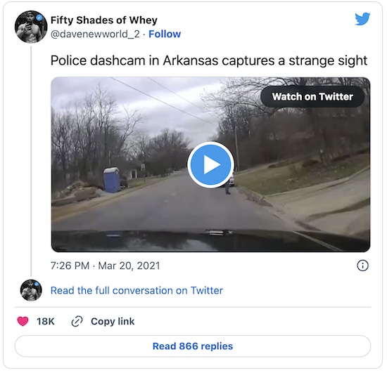 50 Shades of Whey @ Twitter: police dashcam summarizes plague year