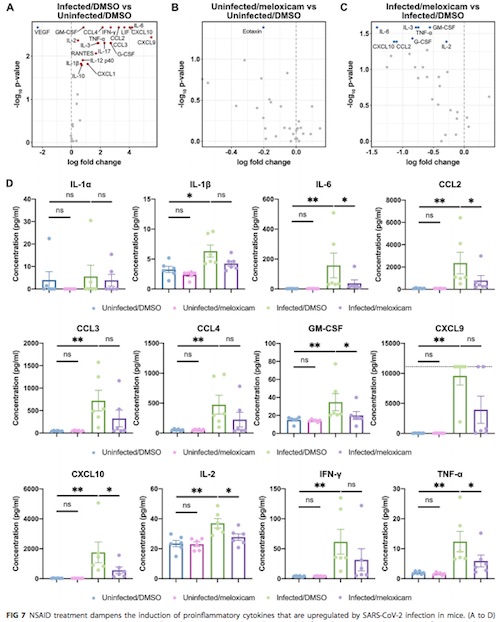 Chen, et al.: NSAIDs impair induction of proinflammatory cytokines