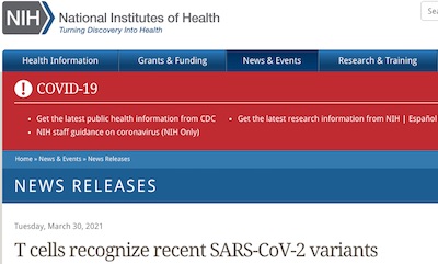 NIH: T cells recognize recenter SARS-CoV-2 variants of concern