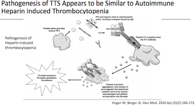 ACIP: TTS mechanism similar to autoimmune heparin induced thrombocytopenia