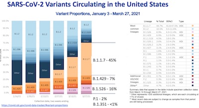 ACIP: variants in the US
