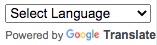 Google Translate Button