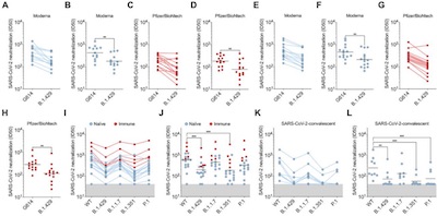 Science: McCallum, et al. on Epsilon variant and vaccine evasion figure