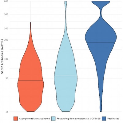 Israeli study: Violin plot of distribution of antibody levels in convalescent vs vaccinated patients