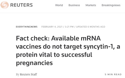 Reuters Fact Check: vaccines do not target syncytin-1