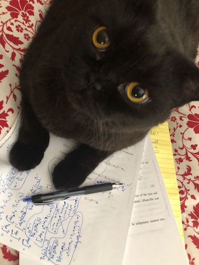 Weekend Publisher, mid-critique, providing purr review