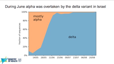 Israeli data: Delta is the only strain that matters, and it's nasty