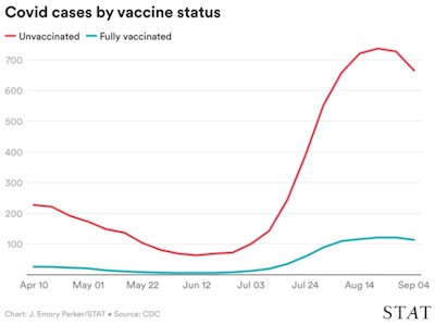 STAT News: COVID-19 cases by vaccine status