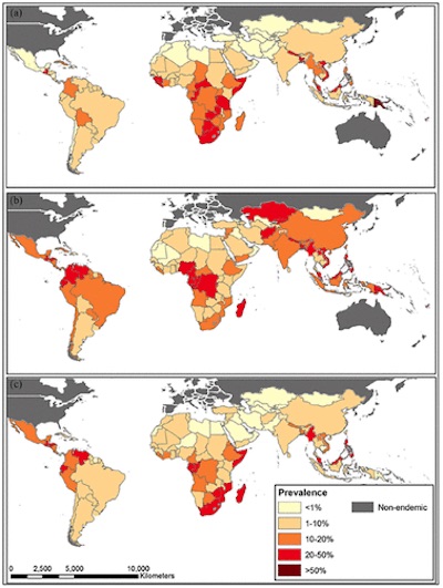 Riaz, et al.: worldwide incidence of 3 species of parasitic worms