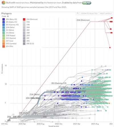 Cladogram of Omicron vs other SARS-CoV2 variants