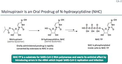 Merck: Molnupiravir prodrug mechanism of action