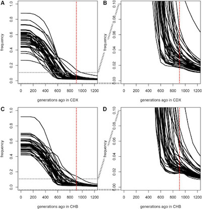 Souilmi _et al.:_ 42 coronavirus VIP gene allele frequencies over time in Chinese Dai and Chinese Han