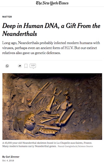 Zimmer @ NYT: Neanderthal DNA is both good and bad