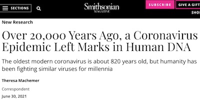 Machemer @ Smithsonian: 20,000 year old coronavirus epidemic marked human genome