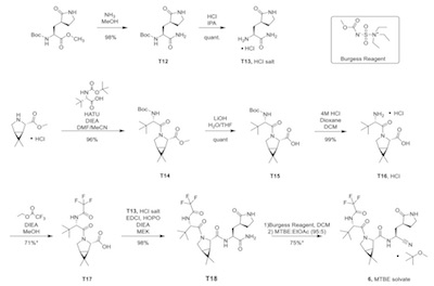 Owen, et al. @ Science: paxlovid synthesis of a few hundred grams for clinical trial