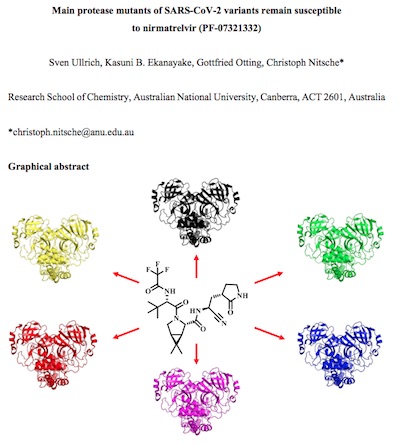 Ullrich, et al.: nirmatrelvir activity against 6 variants of SARS-CoV2 3CLpro