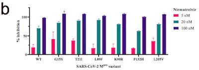 Ullrich, et al.: More than 50% inhibition of 3CLpro at 20nM in all 6 variants