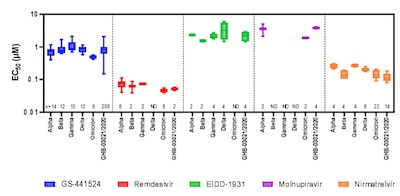 Vangeel, et al.: Activity vs infection of remdesivir, molnupiravir, and nirmatrelvir vs SARS-CoV2 variants