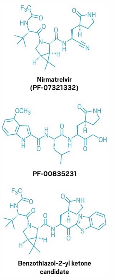 Pfizer structures leading to paxlovid (top), 2003 compound against SARS-CoV1 (middle), and candidate during optimization (bottom)