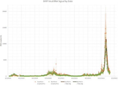 MWRA metagenomics 2022-Feb-01: SARS-COV-2 viral RNA in sewage vs time