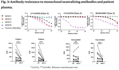 Smyth @ NatComm Fig 3: Cryptic sequences resist monoclonal abs, but less so with convalescent plasma