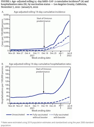 Danza @ MMWR: Age-adjusted 14-day COVID/hosp rates in LA by vaccination status