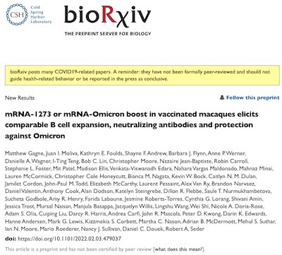 Gagne @ bioRxiv: booster in macaques has comparable B cell expansion nAbs and protection vs Omicron