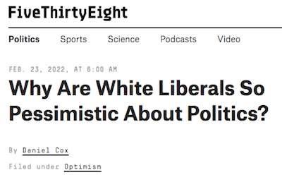 FiveThirtyEight: Why are white liberals so pessimistic?