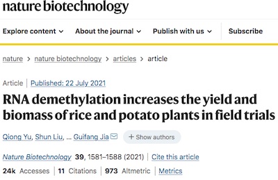Yu, et al. @ Nat Biotech: RNA demethylation and potato/rice production