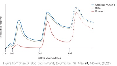 Shen @ Nat Med: 4th dose vs Omicron is like 3rd dose vs Delta