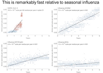 Bedford @ Fred Hutchinson: SARS-CoV-2 mutates faster than influenza