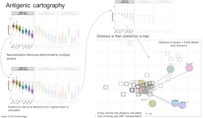 Beigel @ NIAID: Antigenic cartography for strain selection