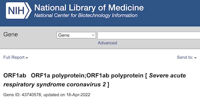EntrezGene: Viral polyprotein gene ORF1ab