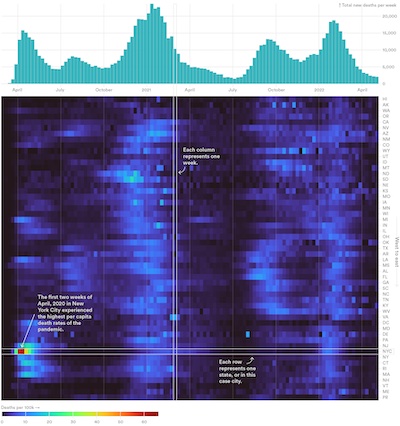 Parker @ STAT: Heatmap of mortality: time x states