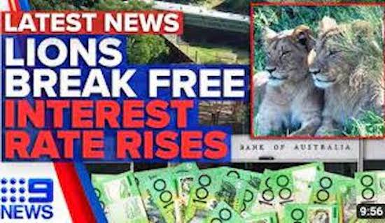Lions break free; interest rate rises