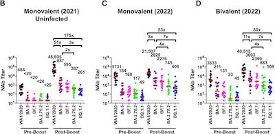 Miller, et al. @ bioRxiv: Note 7x decrease in ab titers for BQ.1.1 vs BA.5 for those with bivalent boosters