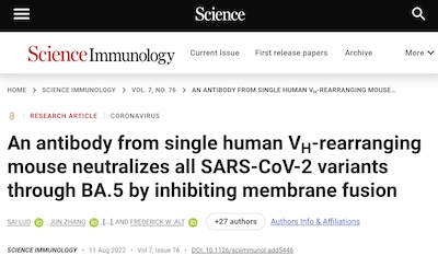 Luo, et al. @ Sci Immunol: A broadly neutralizing antibody from a mouse model