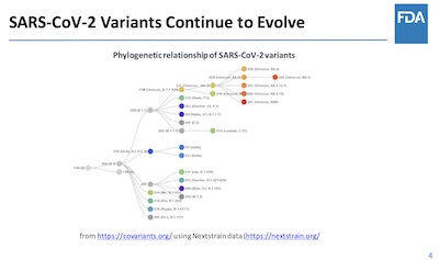 Weir @ FDA: Current SARS-CoV2 phylogenetic tree