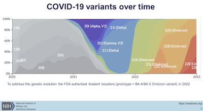 Beigel @ NIH: Cartoon of viral variants over time