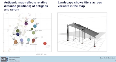 Beigel @ NIH: 'Antigenic Distance' of viral variants and sera