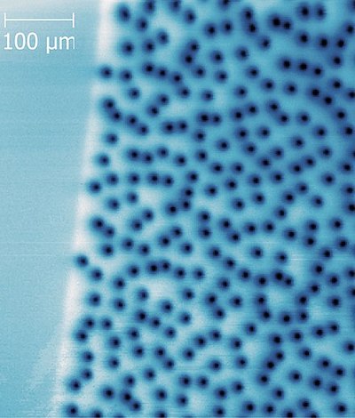 Type II superconductors: vortics of superconductivity in a normal matrix