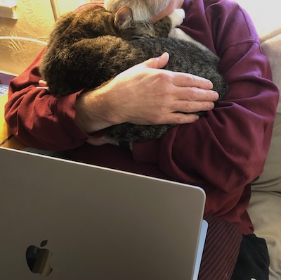 Assistant Weekend Publisher: Hands off keys.  Hands on cat.  Time for beard-brushing nap.