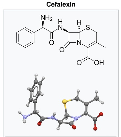 Wikipedia: molecular structure of the antibiotic cephalexin