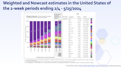 Thornburg, CDC: Weighted & nowcast showing JN.1 becoming KP.2 and KP.3