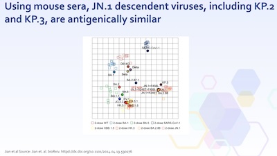 Thornburg, CDC: Mouse sera antigenic distances between JN.1, KP.2, KP.3